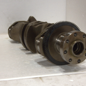 cigueñal amarok 002 (copia)