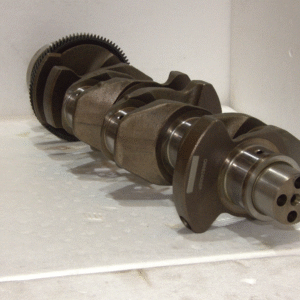 cigueñal amarok 002 (copia)