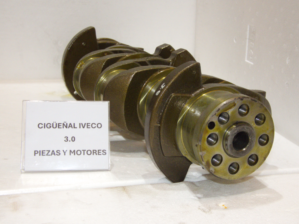 Ciguenal Iveco 3.0 002 1024x768